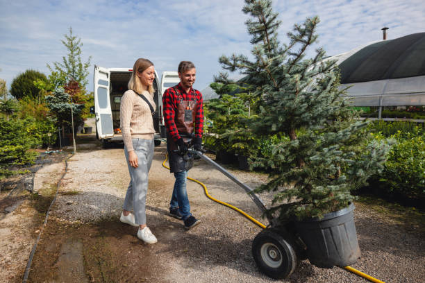 Best Storm Damage Tree Cleanup  in Humble, TX